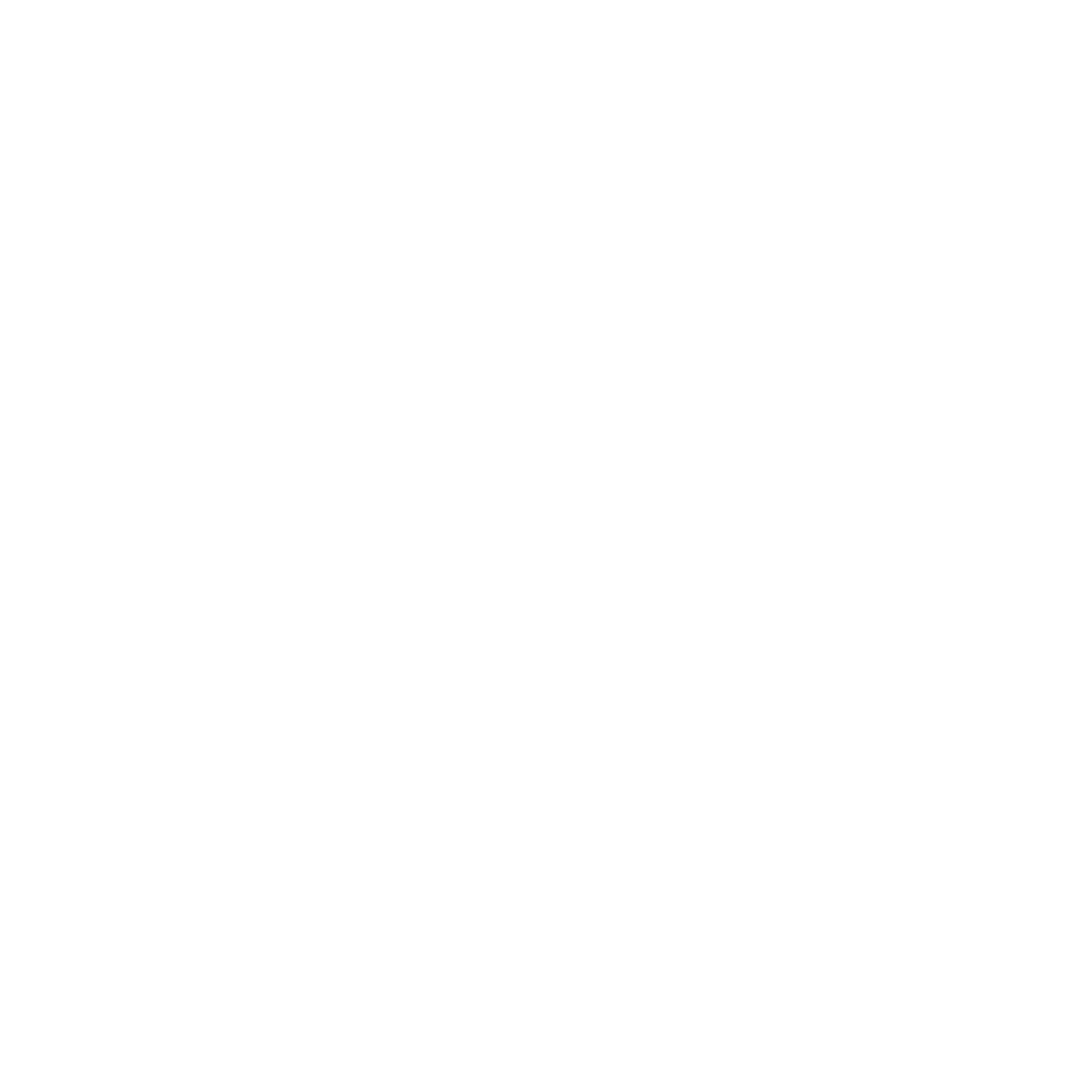 HoliDan Logo
